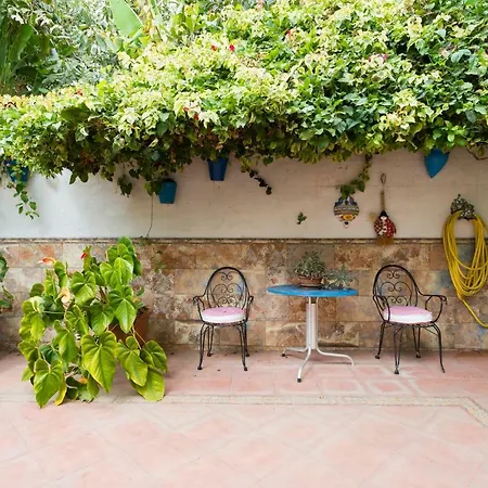 Hébergement de vacances Homelike Rustic House