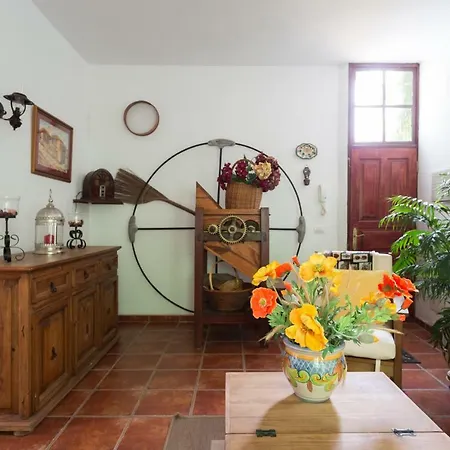 Homelike Rustic House