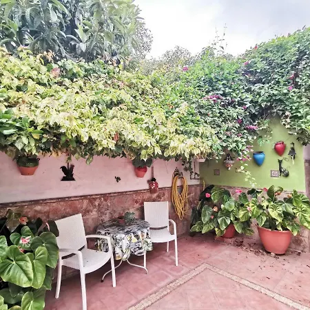 Homelike Rustic House Güimar