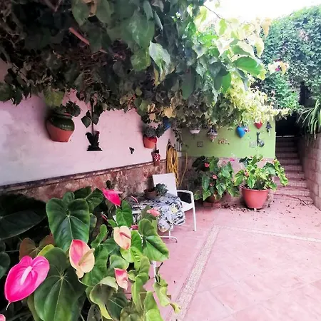 Homelike Rustic House Hébergement de vacances Güimar