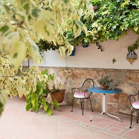 Homelike Rustic House Casa vacanze