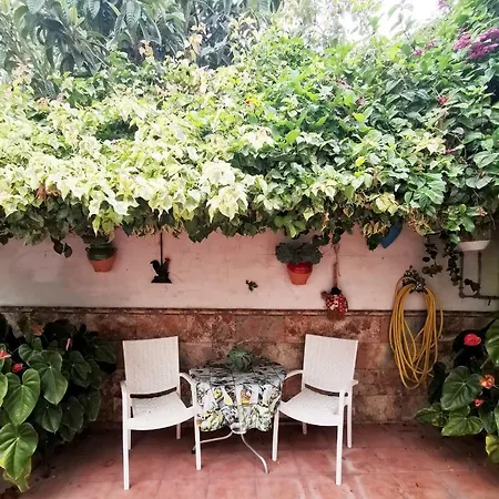 Dom wakacyjny Homelike Rustic House Güimar